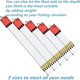 Lanfly Fishing Floats 20Pcs 5 Sizes Coarse Transparent Waggler Kit view 2