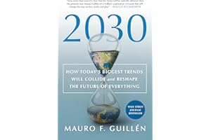 2030: How Today's Biggest Trends Will Collide and Reshape the Fut