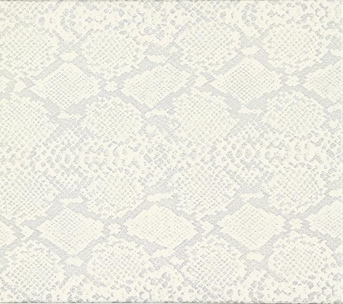 Amazon Blankey Jet City 1991 1995 Blankey Jet City 浅井健一 Blankey Jet City 土屋昌巳 J Pop 音楽