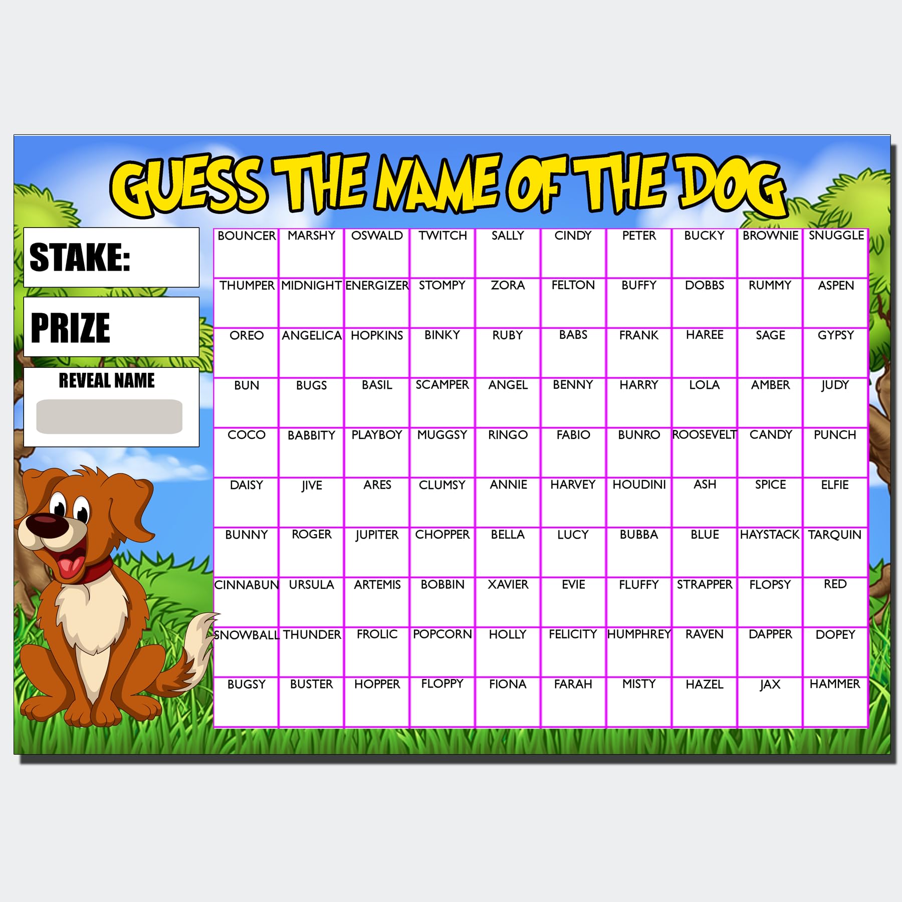 3 Pack of Fundraising Scratch Cards – Predict the Dog’s Name, A4 Card Stock Sheets with 100 Names for Events & Raffles