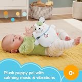 Fisher-Price Calming Vibes Puppy Soother Plush, Portable Sound Machine HTJ68 view 2