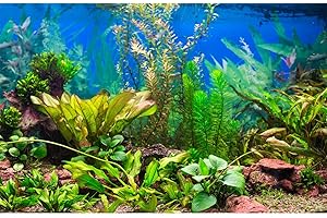 RIIVVDISE Aquarium Background Various Underwater Grass Plants Aquarium Backdrop Vivid and Fresh Green Aquatic Plants Stone River Bed and Dead Wood Purple Stone Fish Tank Background 24x16in