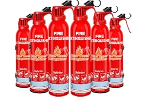LEYANNY Fire Extinguisher for Home, Car, Kitchen, Vehicle, Boat, Garage, Portable A, B, C, K Class Fire Extinguishers with Mount, Emergency Survival Extinguisher, Easy Access, Versatile Fire Protection