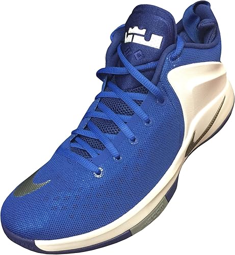 lebron zoom shoes