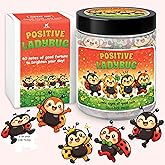 KATINAT Ladybug Gifts for Women – Positive Ladybug Jar with 60 Affirmation Cards, Good Luck Gift for Her, Birthday Gifts for Women, Friends, Coworkers, Sister – Cheer Up & Encouragement Gift