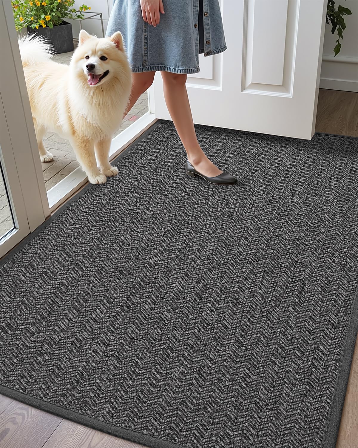 COLOR&GEOMETRY Dirt Trapper Door Matts Indoor 61x91 cm, Indoor Door Mat Non Slip, Front Door Mat Heavy Duty, Absorbent Doormats Inside for Entrance, Muddy Paws, Dark Grey (Rolled-up NO Creases)