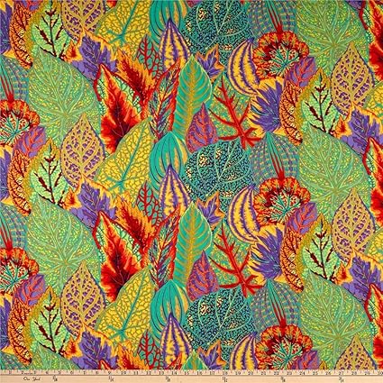 Amazon Com Freespirit Fabrics Kaffe Fassett Collective For Coleus