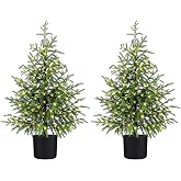 ENVEN 3FT Prelit Artificial Norfolk Pine Christmas Tree &ndash; Realistic Small Potted Tree with 50 LED Lights &amp; 8 Lighting Mode, Battery Powered, Xmas Decor for Desktop Tabletop Display (Set of 2)