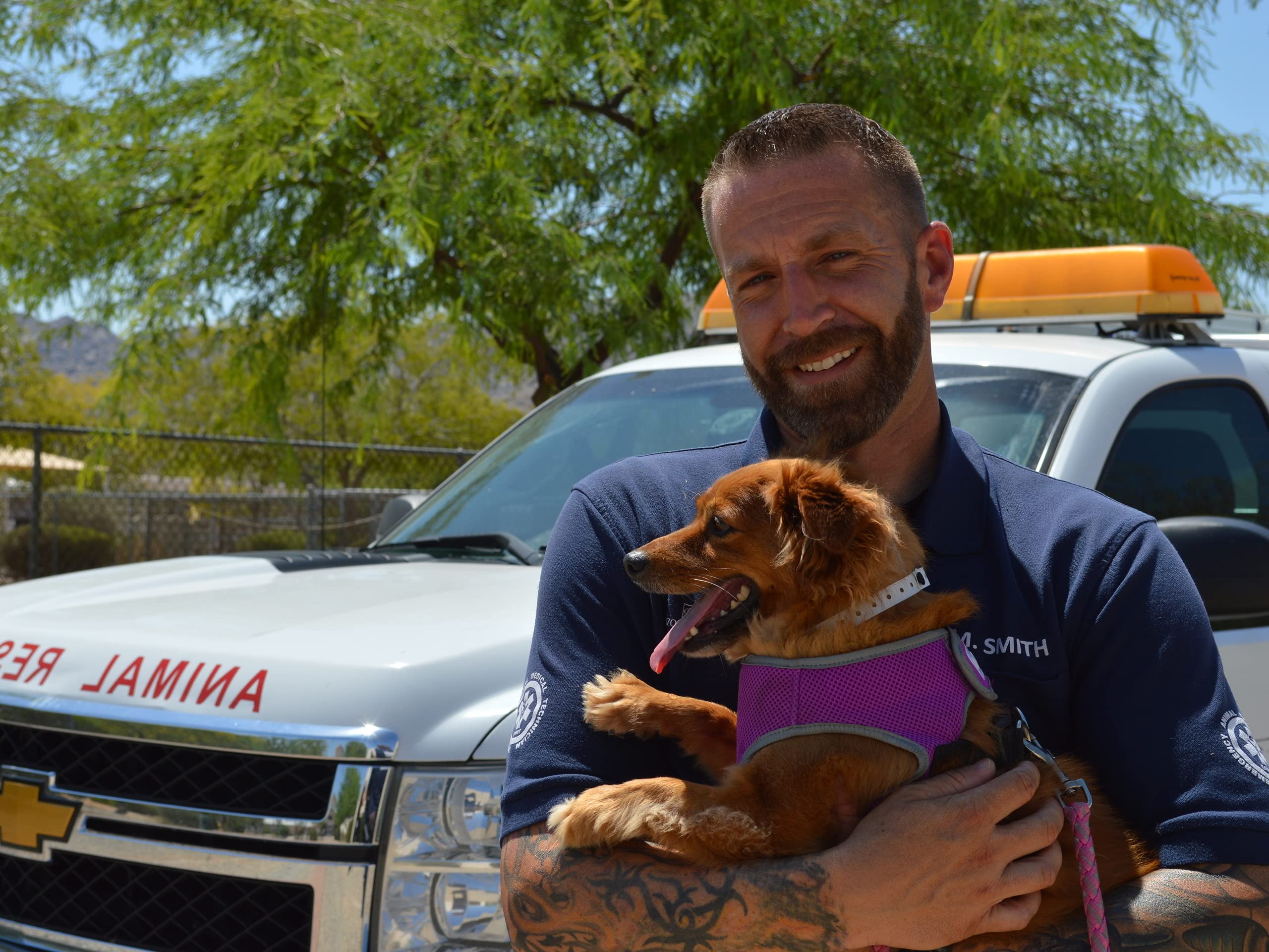 Watch Animal Cops Phoenix Season 4 Prime Video