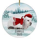 Santa Hat and Scarf Welcome Winter Himalayan Mini