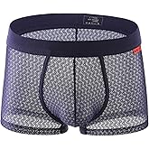Evankin Mens Sexy Boxer Briefs Mesh Breathable Underwear See Through Lingerie Panties Trunks with Bulge Pouch