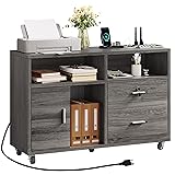 DWVO 2 Drawer File Cabinet with Charging