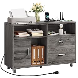DWVO 2 Drawer File Cabinet with Charging