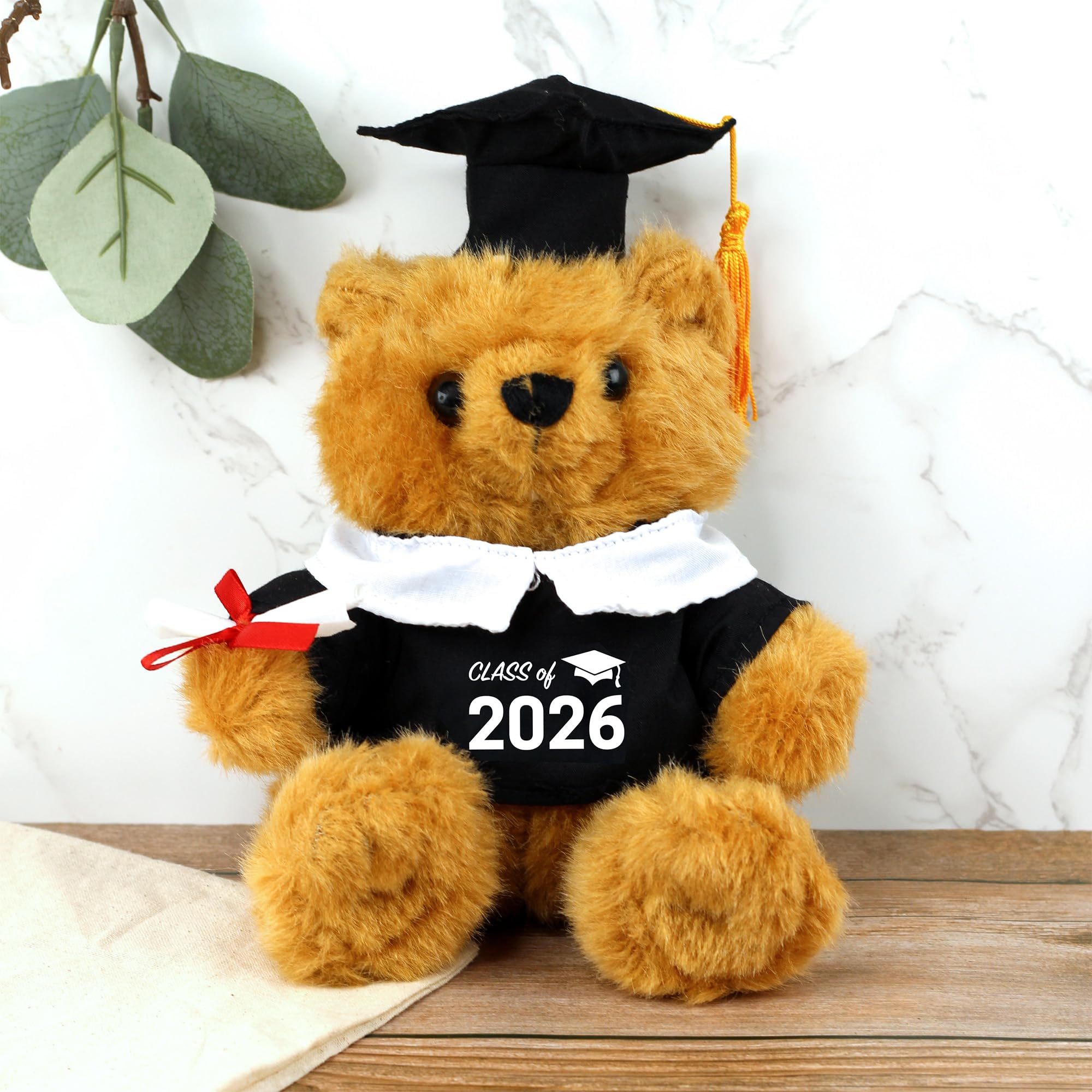 eBuyGB Graduation Bear with Gown, Hat & Diploma, Class of 2025 Plush Soft 9" Teddy Bear, University Graduate, Congraulations Gift for Him/Her