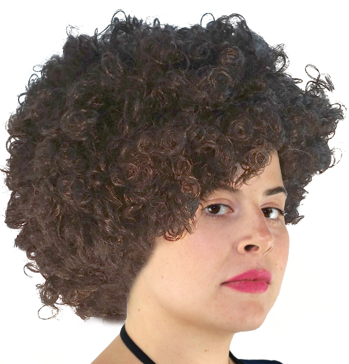 bob ross wig