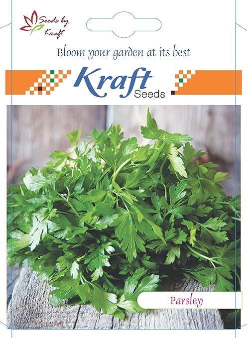 Kraft Seeds Parsley Vegetable Seeds (Pack of 2)