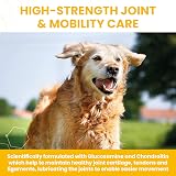 Vetzyme High Strength Flexible Joint Supplements for Senior Dogs 30 Tablets view 3