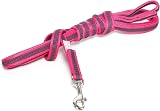 Julius-K9 Color & Gray Leash with Handle 14 mm x 3 m Pink-Gray view 2