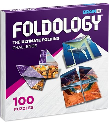 Amazon.com: CUDNY 7 Pieces Cool Unlock Interlock Brain Teaser