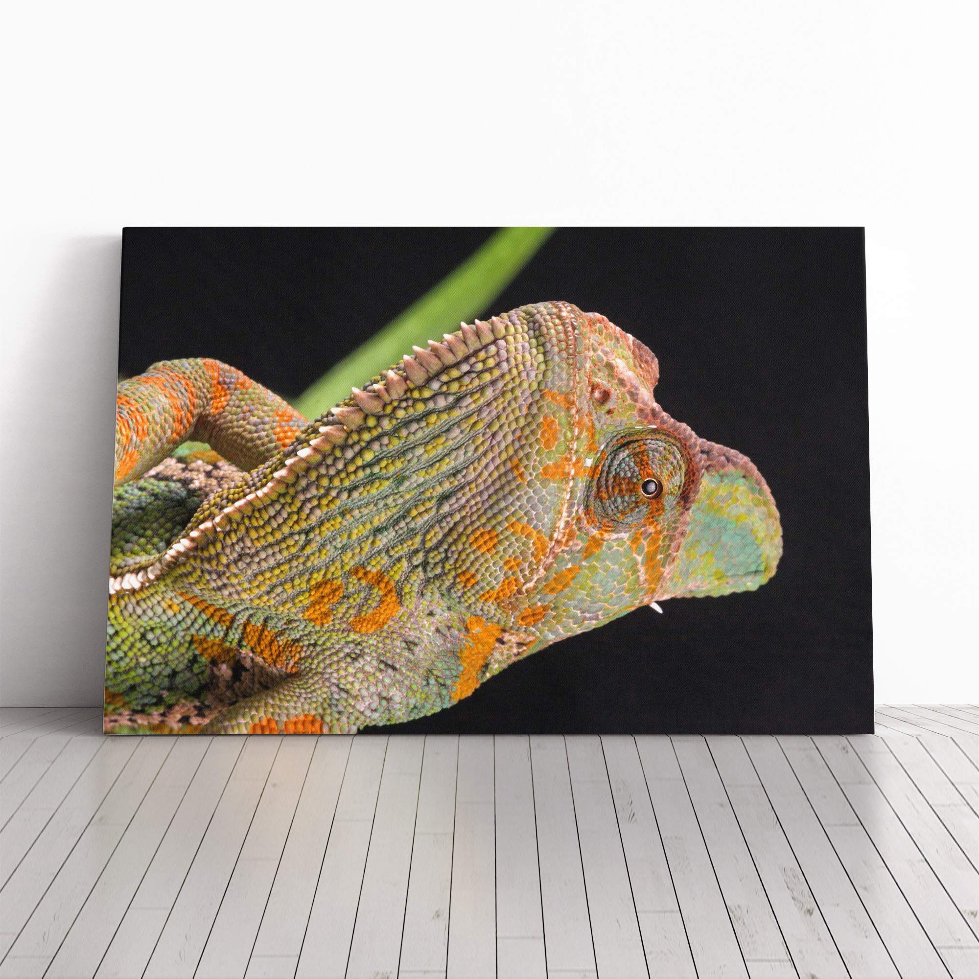 Chameleon Lizard Reptile (4) Canvas Print | Gallery Wrapped 30mm Frame Wall Art | 20x14 inches | Ready to Hang | Modern Animals Picture | Living Room Bedroom Lounge Office
