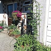 thumbnail image 2 of Large Metal Garden Obelisk - Heavy Duty Plant Support For Climbing Roses, Ivy, Sweet Peas - 2m Tall, Green Powder Coated Steel, 2-Pack 2 of 10