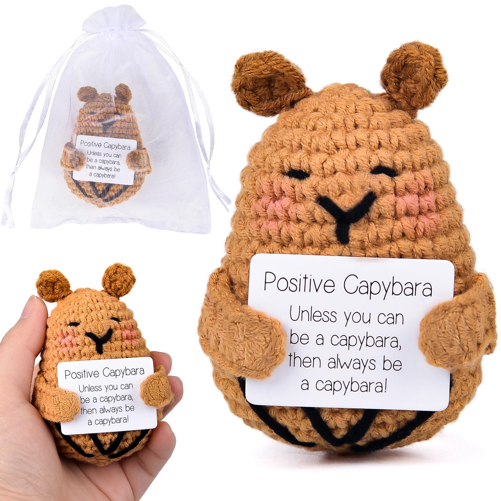 xinrongda Funny Positive Capybara Wool Gifts Mini Knitted Doll with Card, Motivational Gift for Patient, Bosom Friend, Girlfriend, Team (LZ-PCP)