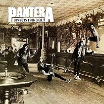 Pantera - Reinventing The Steel [Disco de Vinil] | Amazon.com.br