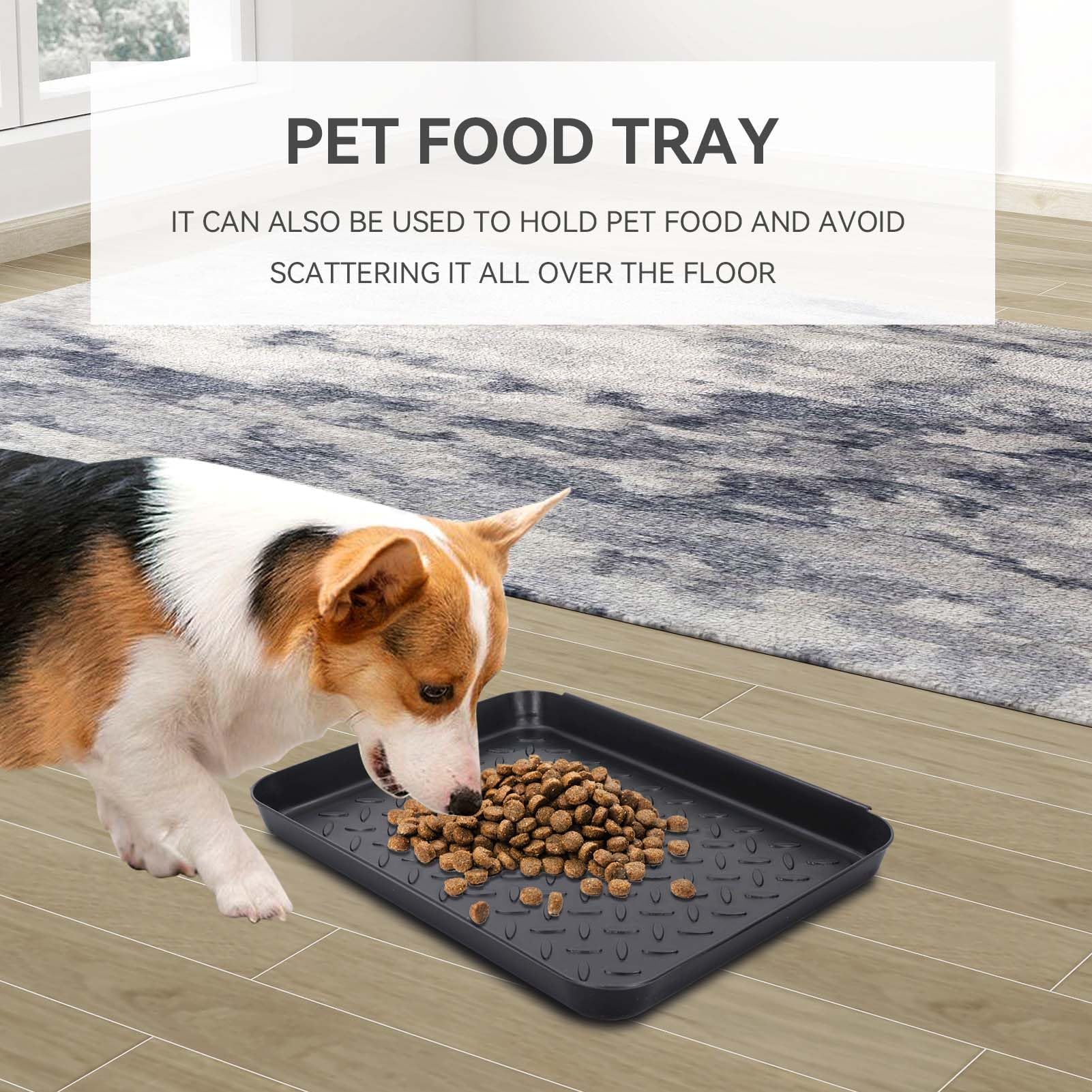 View 8