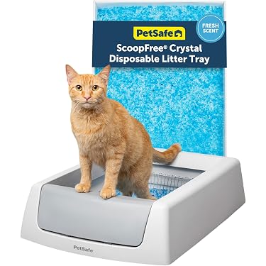best litter box for multi cat home Petivity main image 0