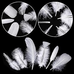 Larryhot White Craft Feathers Bulk - 240pcs 6 Style
