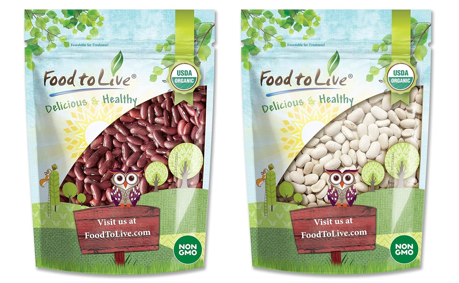 Organic Red & White Kidney Beans Bundle - Organic Dark Red Kidney Beans, 1 Pound and Organic Cannellini Beans, 1 Pound - Non-GMO, Kosher, Raw, Vegan