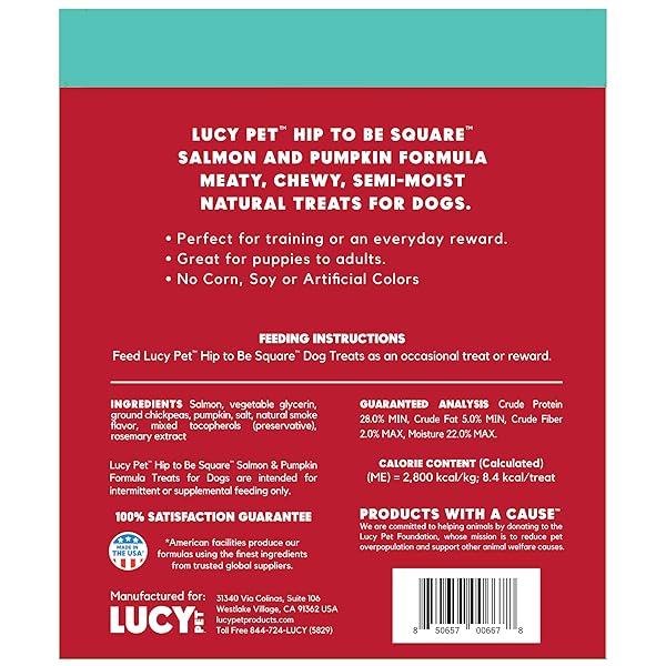 LUCY PET HIP TO BE SQUARE SALMON AND PUMPKIN DOG TREATS 6OZ