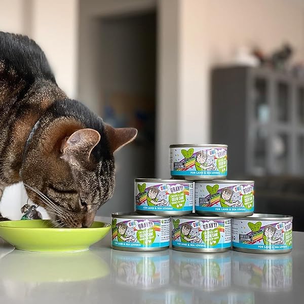 B.F.F. OMG – BEST FELINE FRIEND OH MY GRAVY!, TUNA & DUCK DILLY DALLY WITH TUNA & DUCK, 5.5OZ CAN (PACK OF 8)