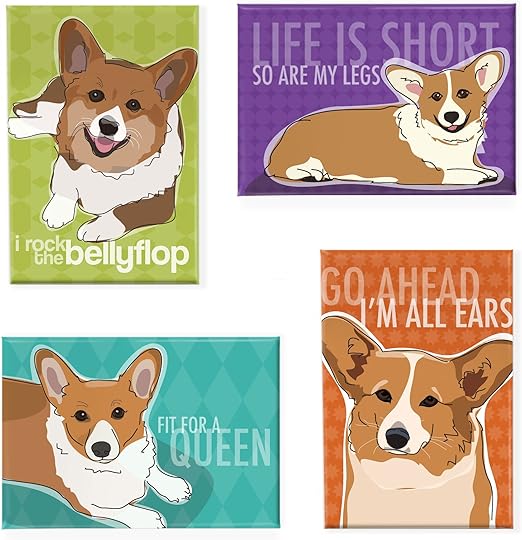 corgi silly
