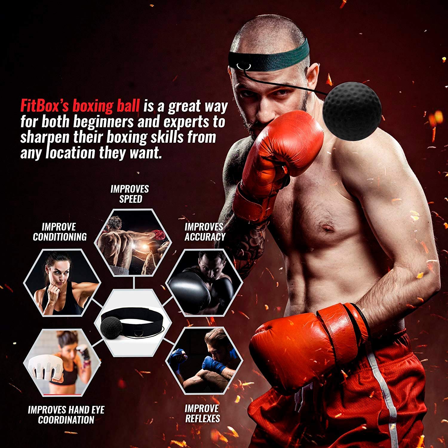 reflex dome boxing