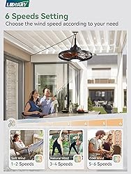 LEDIARY 20" Outdoor Ceiling Fan with Lights,IP65