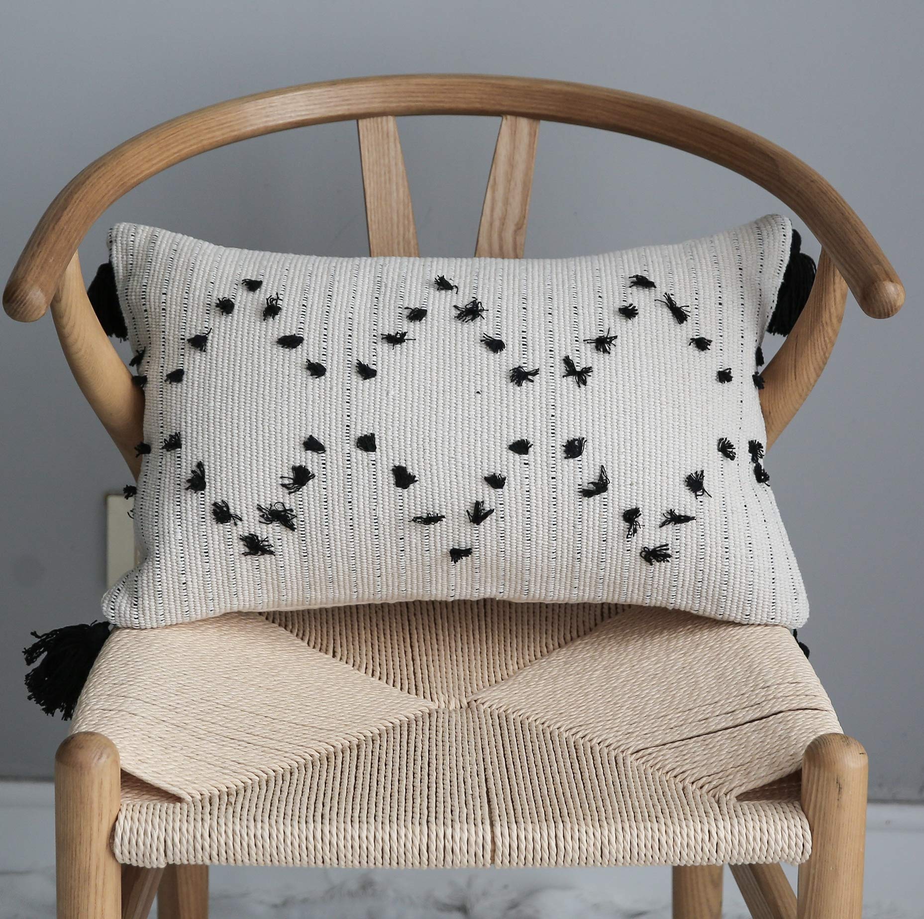 LIGICKY Decorative Lumbar Boho Tassel Throw Pillow Covers for Couch Sofa Bedroom Living Room Home Decoration, Rectangle Woven Tribal Cotton Cushion Cover Modern Black and White Pillow Cases, 12"x20"