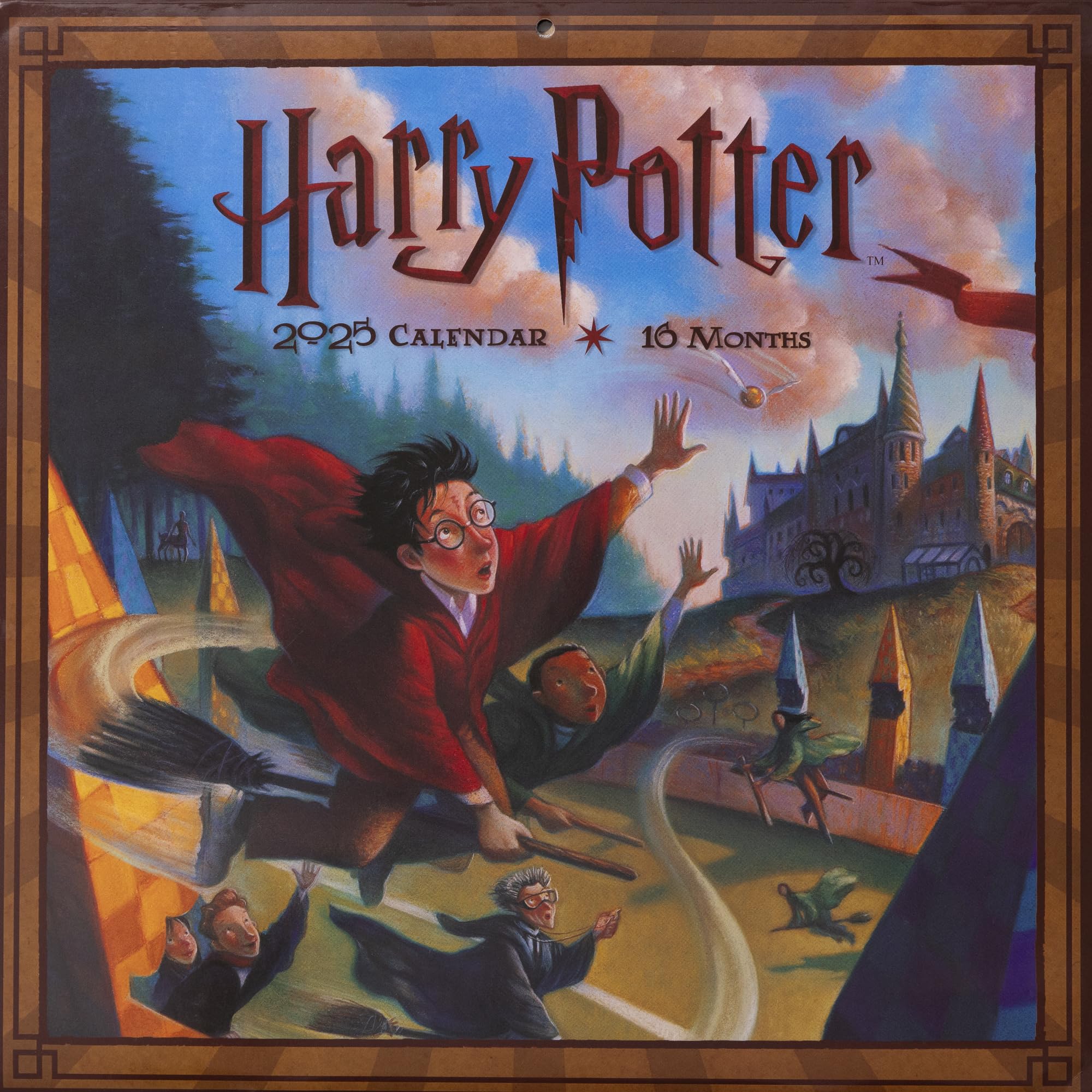 Pyramid International 16 Months Harry Potter (Literary) 2025 30x30 Square Calendar 150gsm