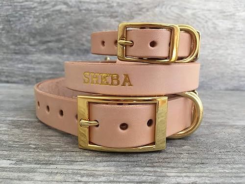 leather dog collars amazon