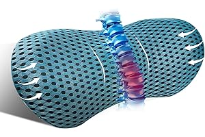 kasney Lumbar Support Pillow Ergonomic Memory Foam, Relieve Back Pain, CMFY Breathable & Detachable & Washable, Perfect for Office Chairs, Car Seats, Beds (Blue)