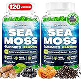 Sea Moss Gummies, 3100mg Irish True Sea Moss Seamoss Gummies for Women & Men with Bladderwrack, Burdock Root, Elderberry Vitamin C and Zinc for Detox Cleanse, Immune, Skin, Digestive, Organic, 120Ct