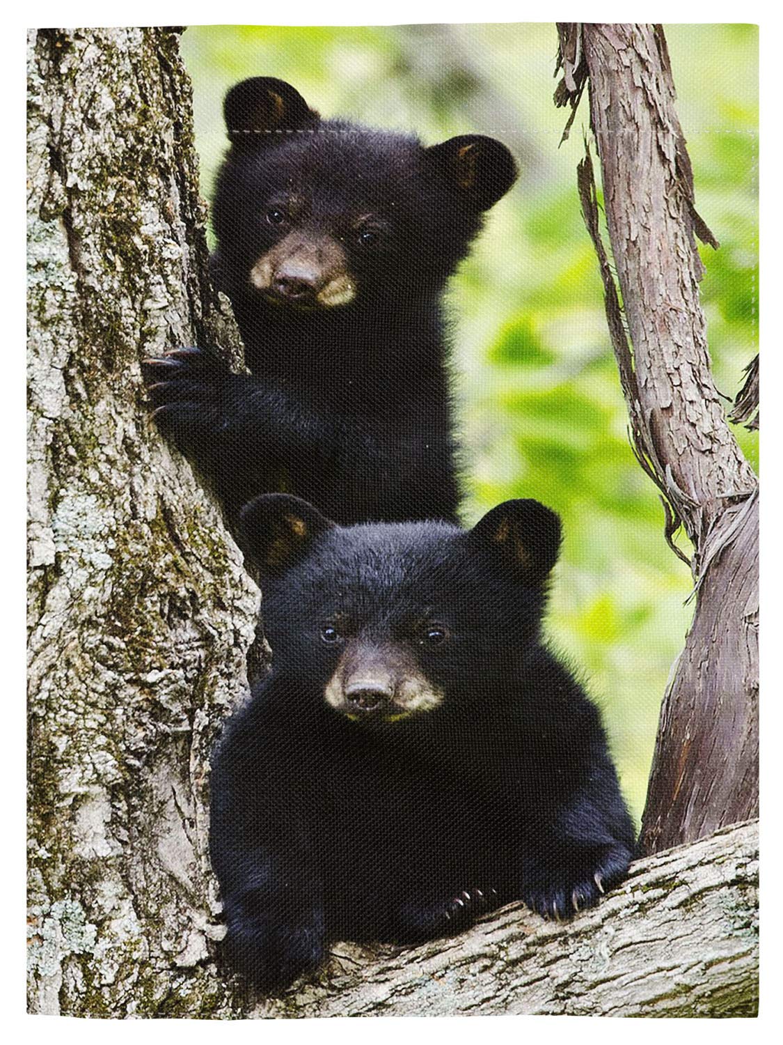 pingpi Black Bear Family Double Sided Burlap Garden Flag 12.5"x18"
