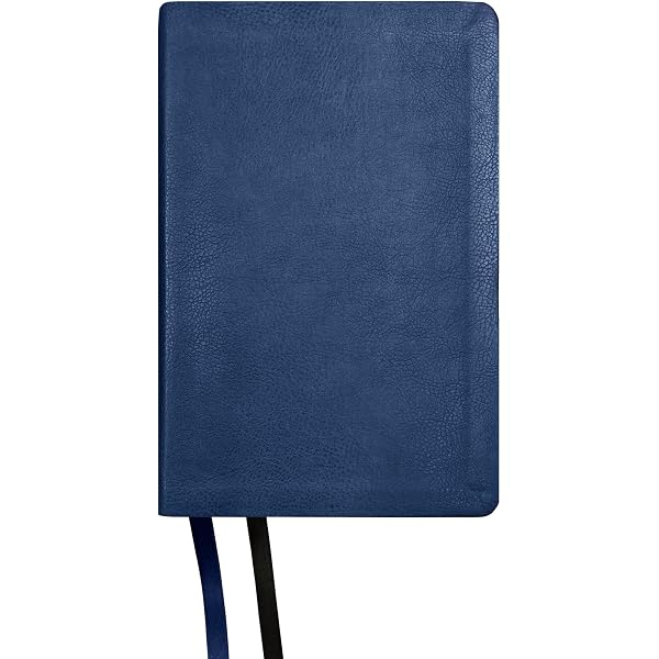 Amazon.com: Large ENGLISH-RUSSIAN Parallel BIBLE ~ Zipper & Index