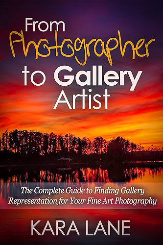 Download From Photographer to Gallery Artist: The Complete Guide to Finding Gallery Representation for Your Fine Art Photography (English Edition) PDF