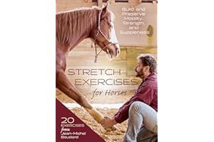 Stretch Exercises for Horses