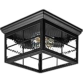 Maxxima Outdoor Flush Mount Ceiling Light Fixture, Black w/Water Glass, 2-Light Square Farmhouse Porch or Patio Light, Close 