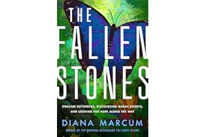 The Fallen Stones: Chasing Butterflies, Discovering Mayan Secrets, and Looking for Hope Along the Way