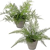 Briful 2PCS Fake Plants Potted Artificial Plants Greenery Faux Fern Eucalyptus Décor Plant for Indoor Home Office Bathroom Harmhouse Decoration