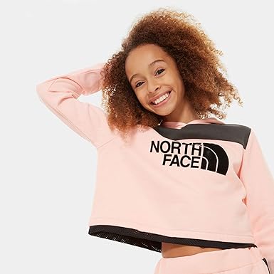 north face cropped hoodie