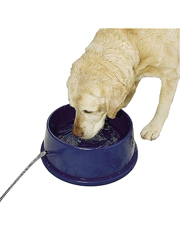 cheap dog dishes
